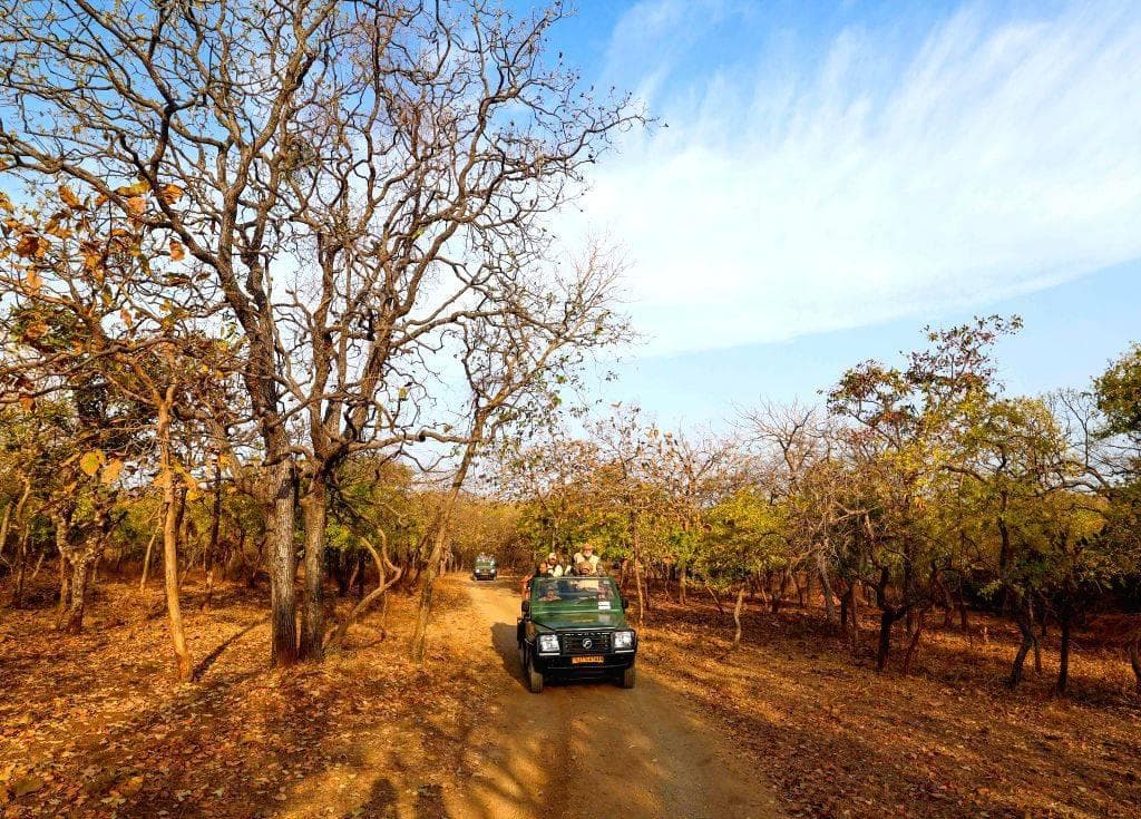 Sasan Gir Holiday Tour Package | Gujarat