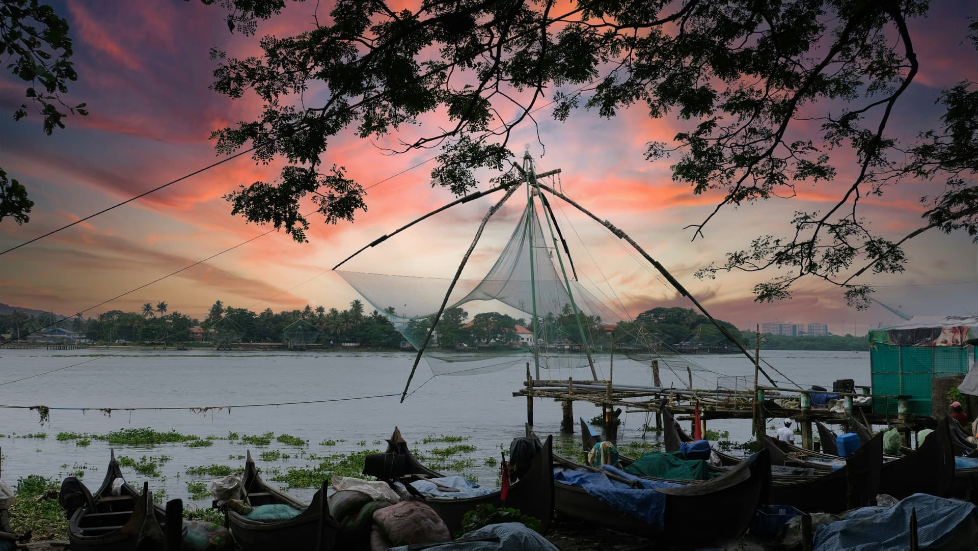 Chinese Fishing Net