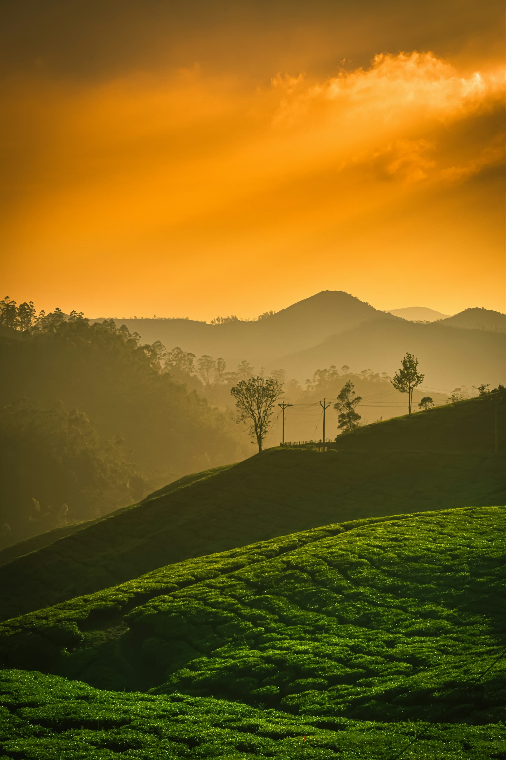 Kerala Family Hill Escape