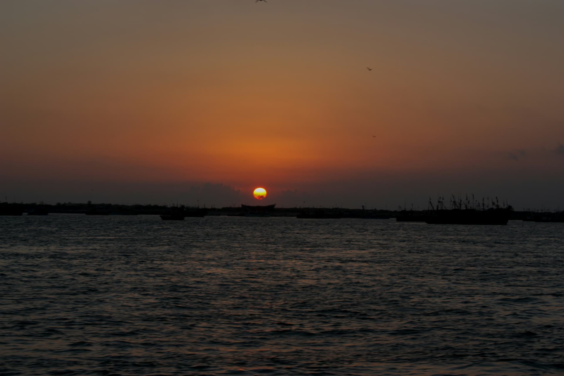 Dwarka Family Holiday Package |Gujarat — image 2