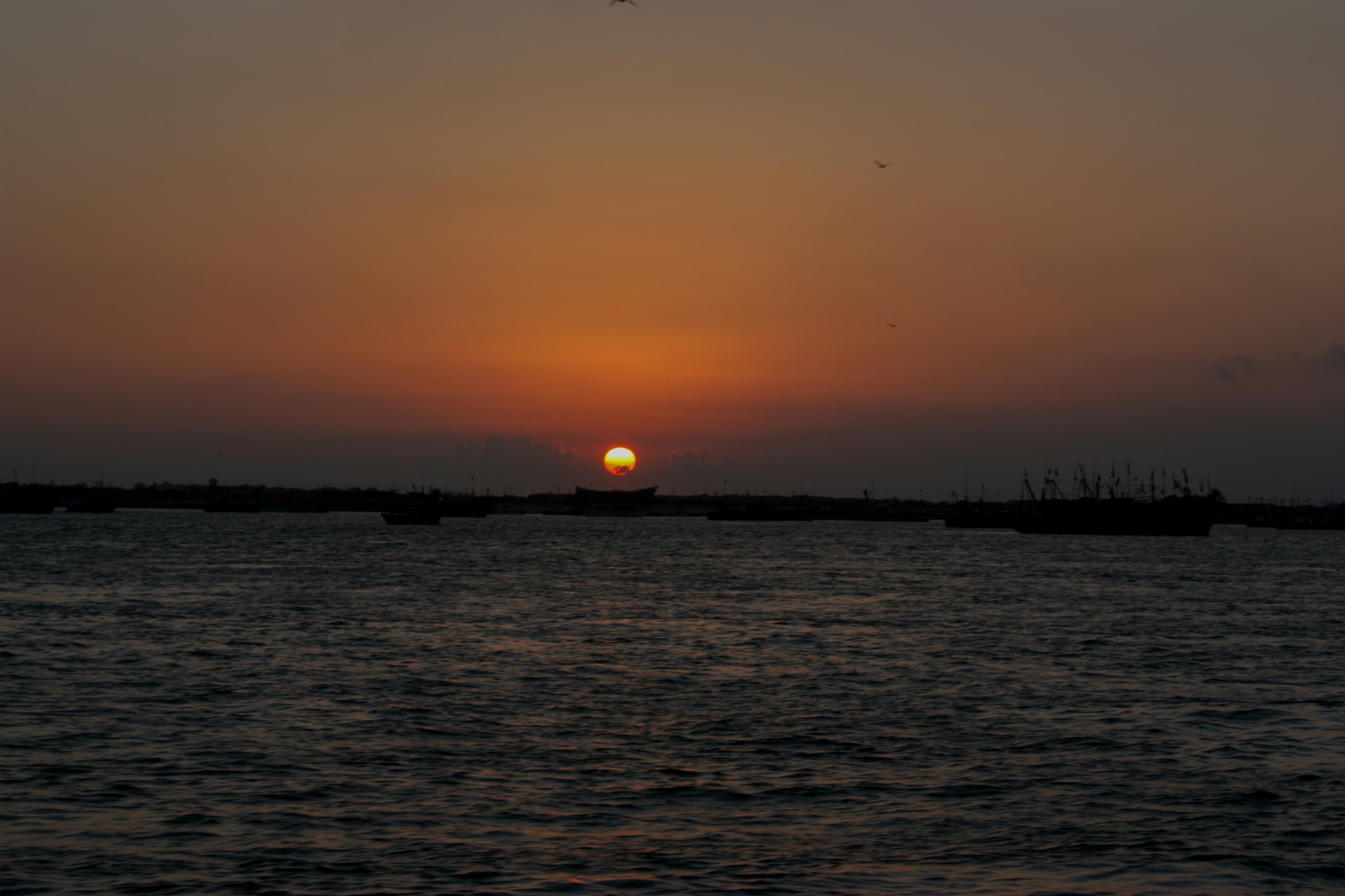 Dwarka Family Holiday Package |Gujarat — image 2