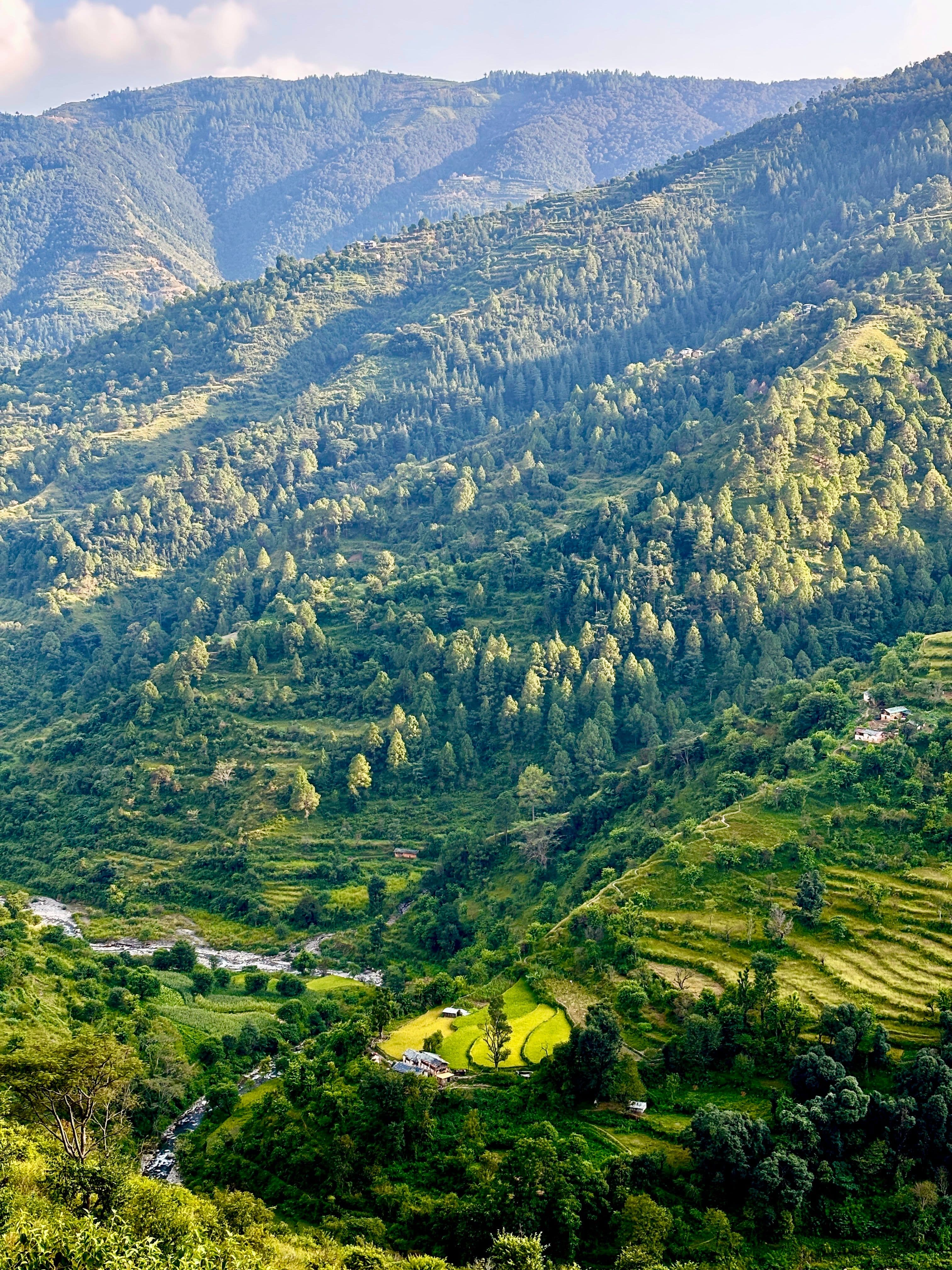 Binsar Valley Tour package — image 3