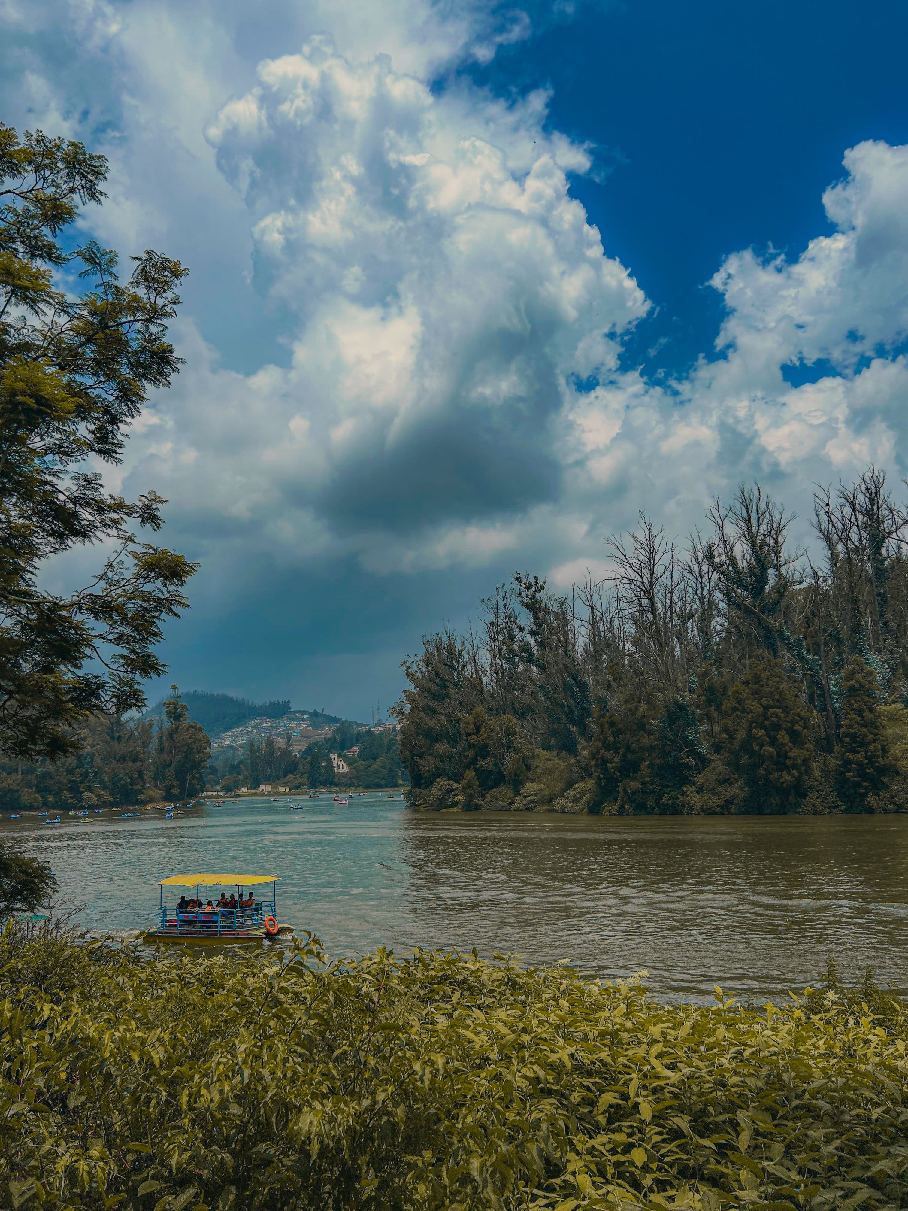 Mysore Coorg Ooty Family Escape — image 4