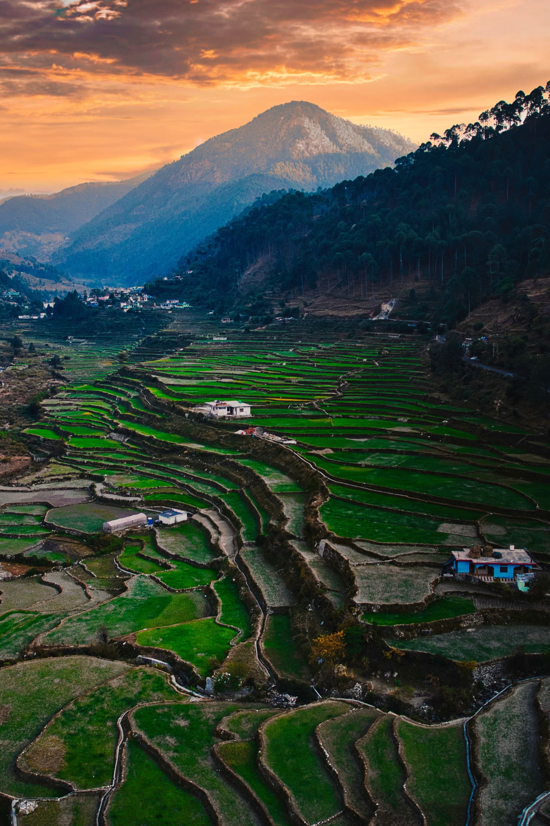 Binsar Valley Tour package — image 4
