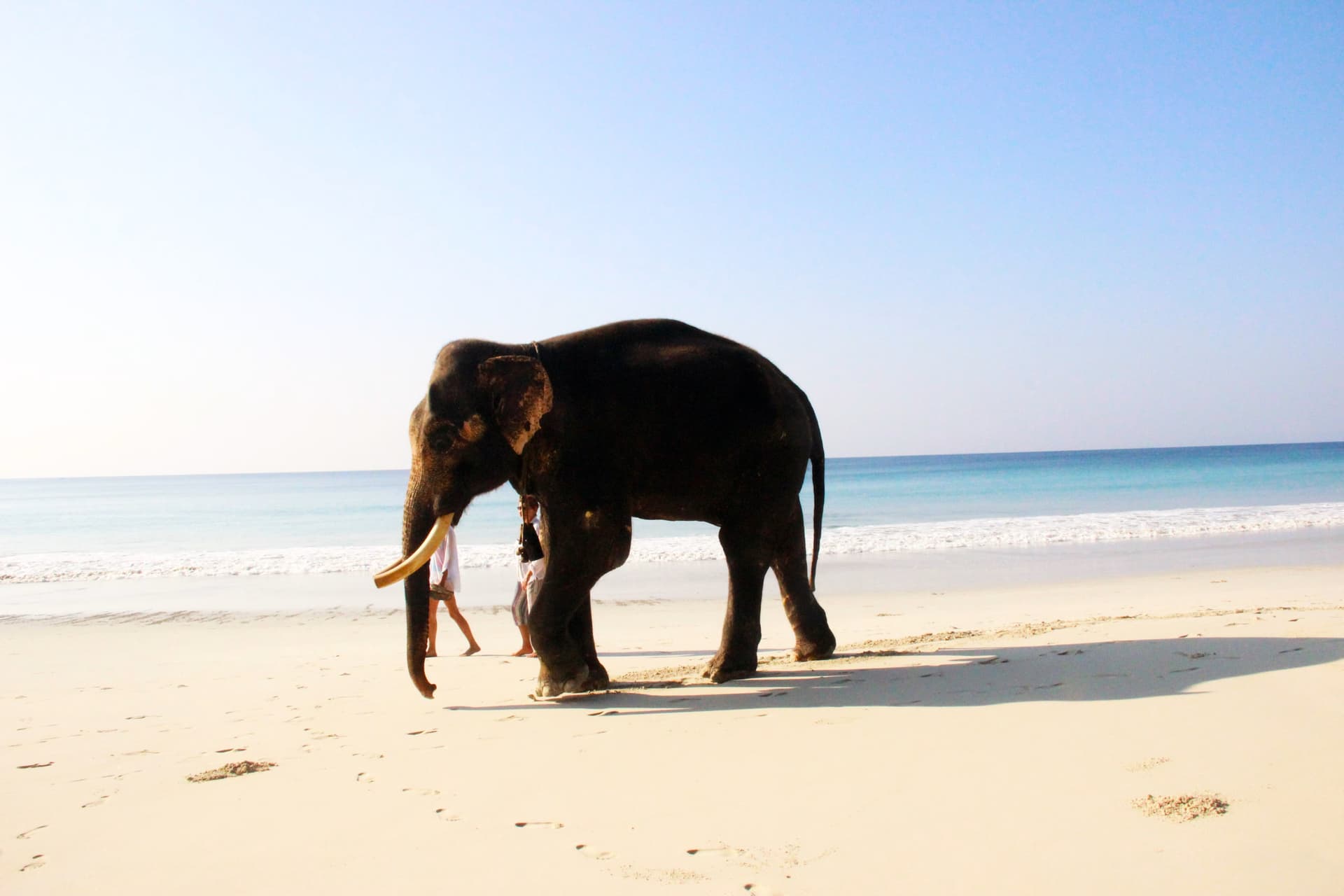Andaman Islands Escape photo 5