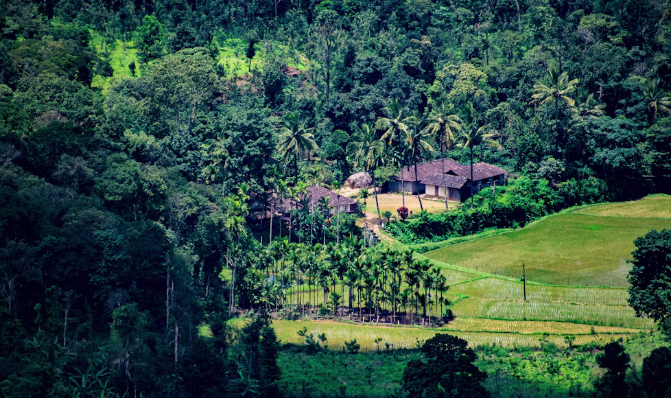 Coorg Nature And Hills Escape Package — image 6
