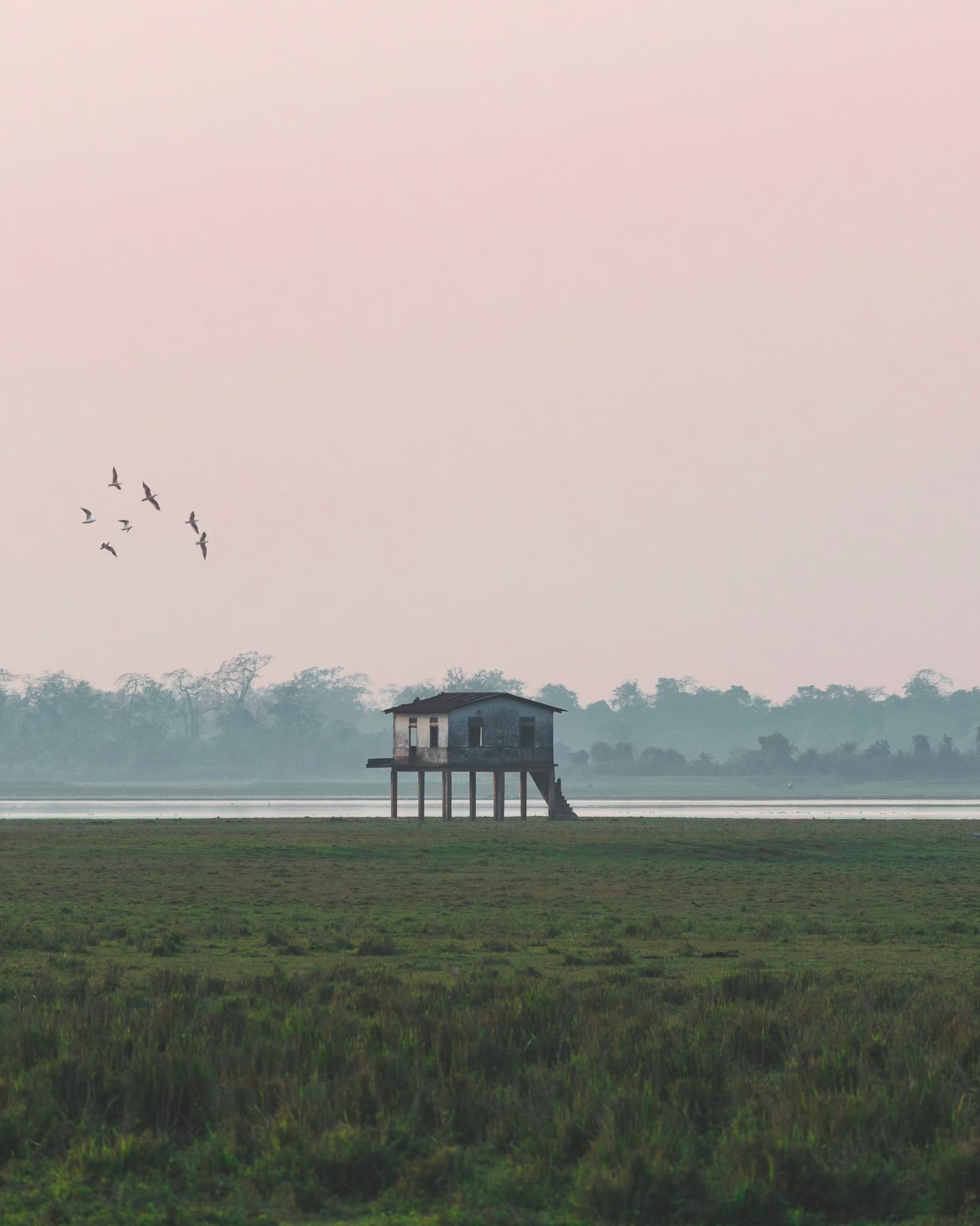 Kaziranga weekend tour package | Assam — image 1
