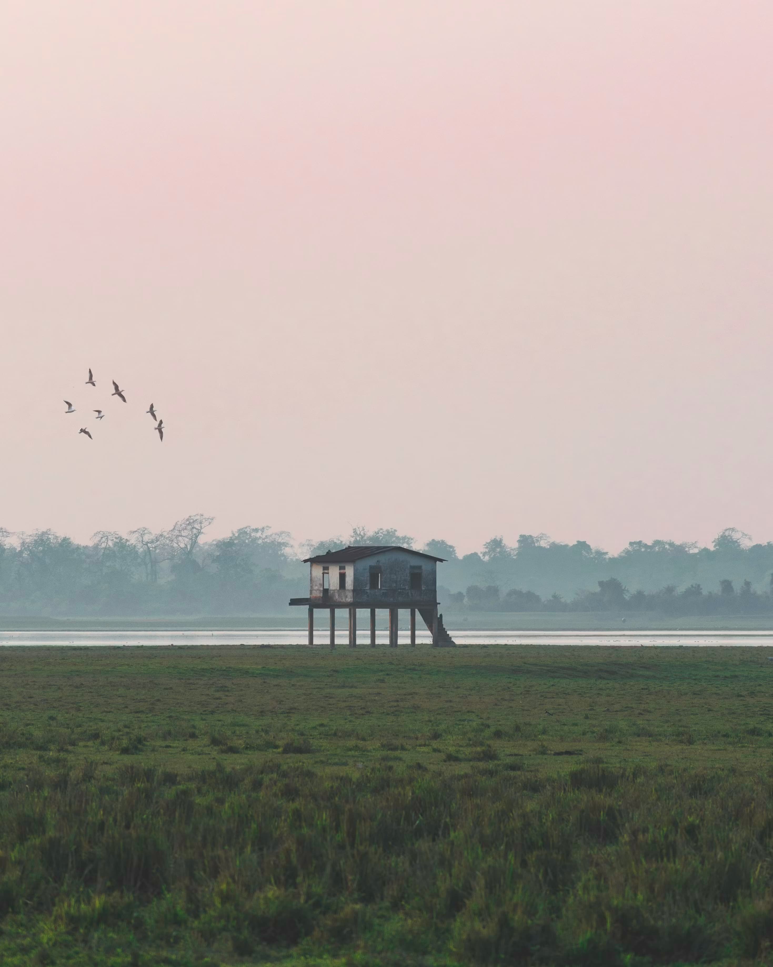 Kaziranga weekend tour package | Assam — image 1