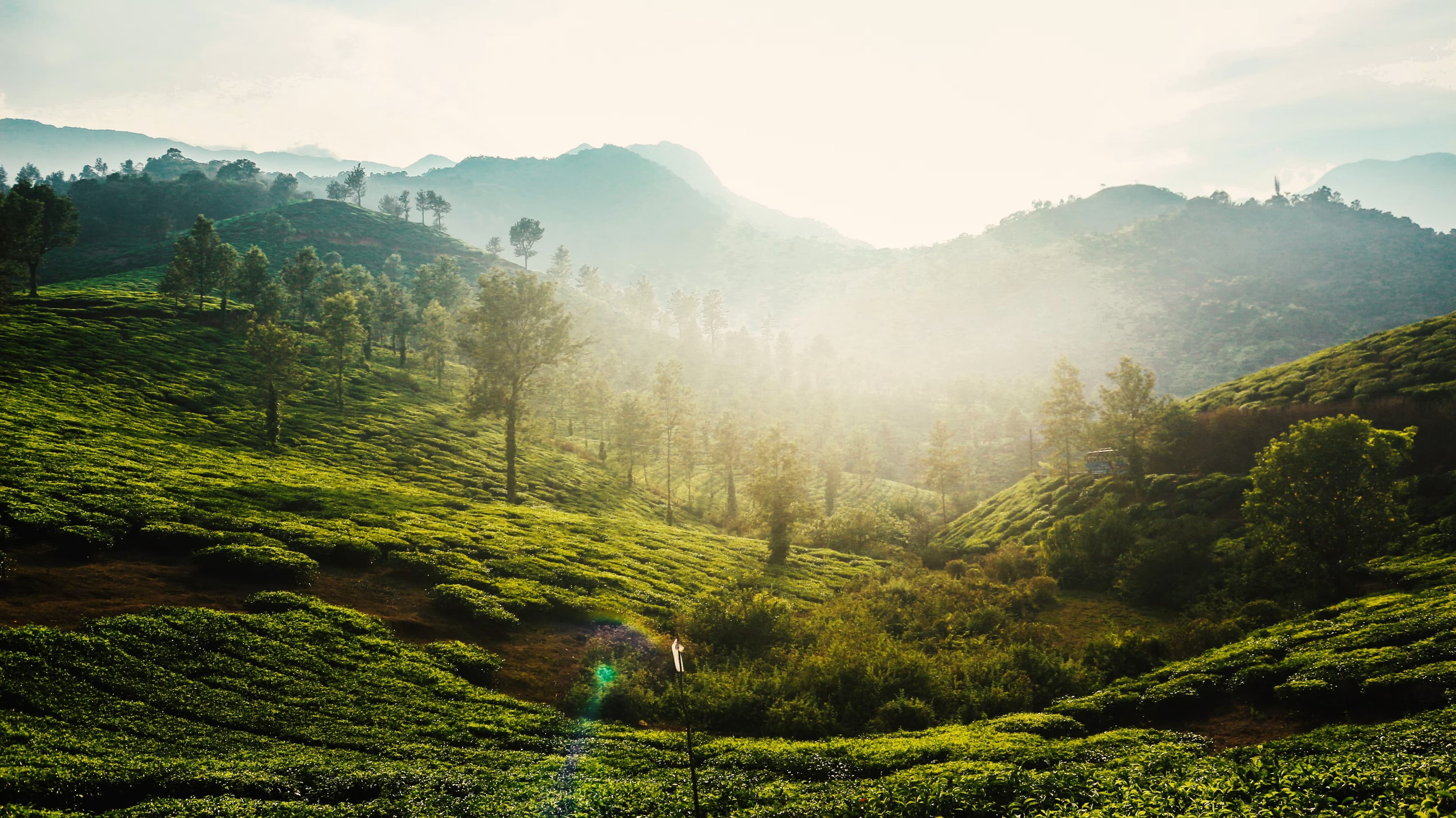 Kerala Adventure & Wildlife Package | wayanad and kochi — image 1