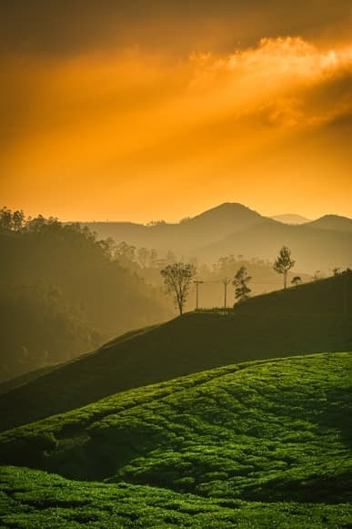 Kerala Group Adventure Package | Munnar & Thekkady