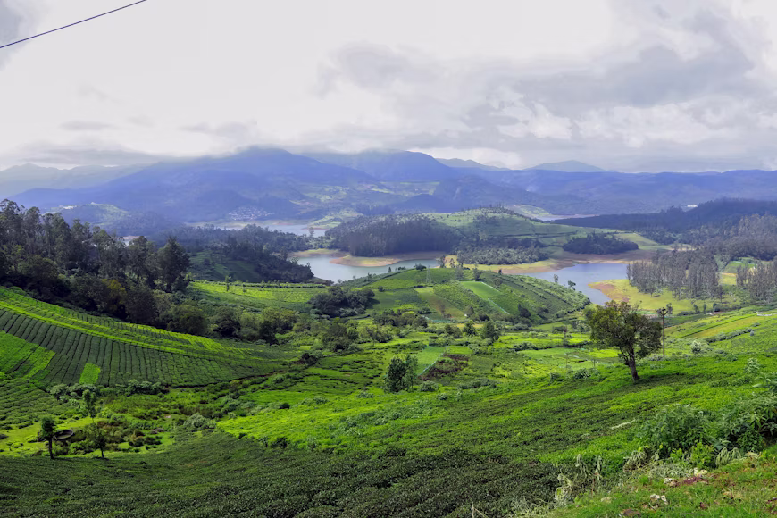 Coorg And Ooty Tamil Nadu Hill Escape Tour Package — image 4