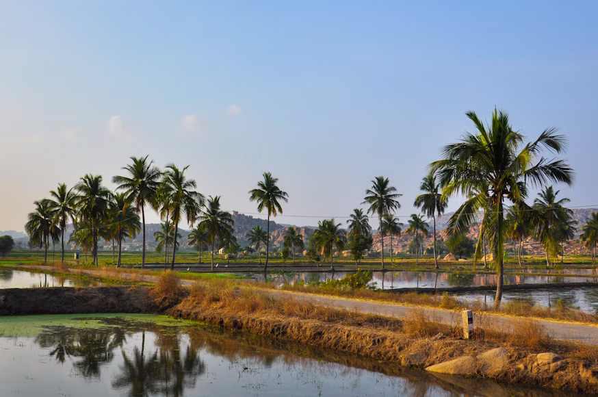 Karnataka Heritage And Nature Escape Tour Package — image 4