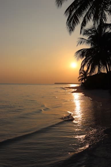 Lakshadweep Island Explorer — image 5