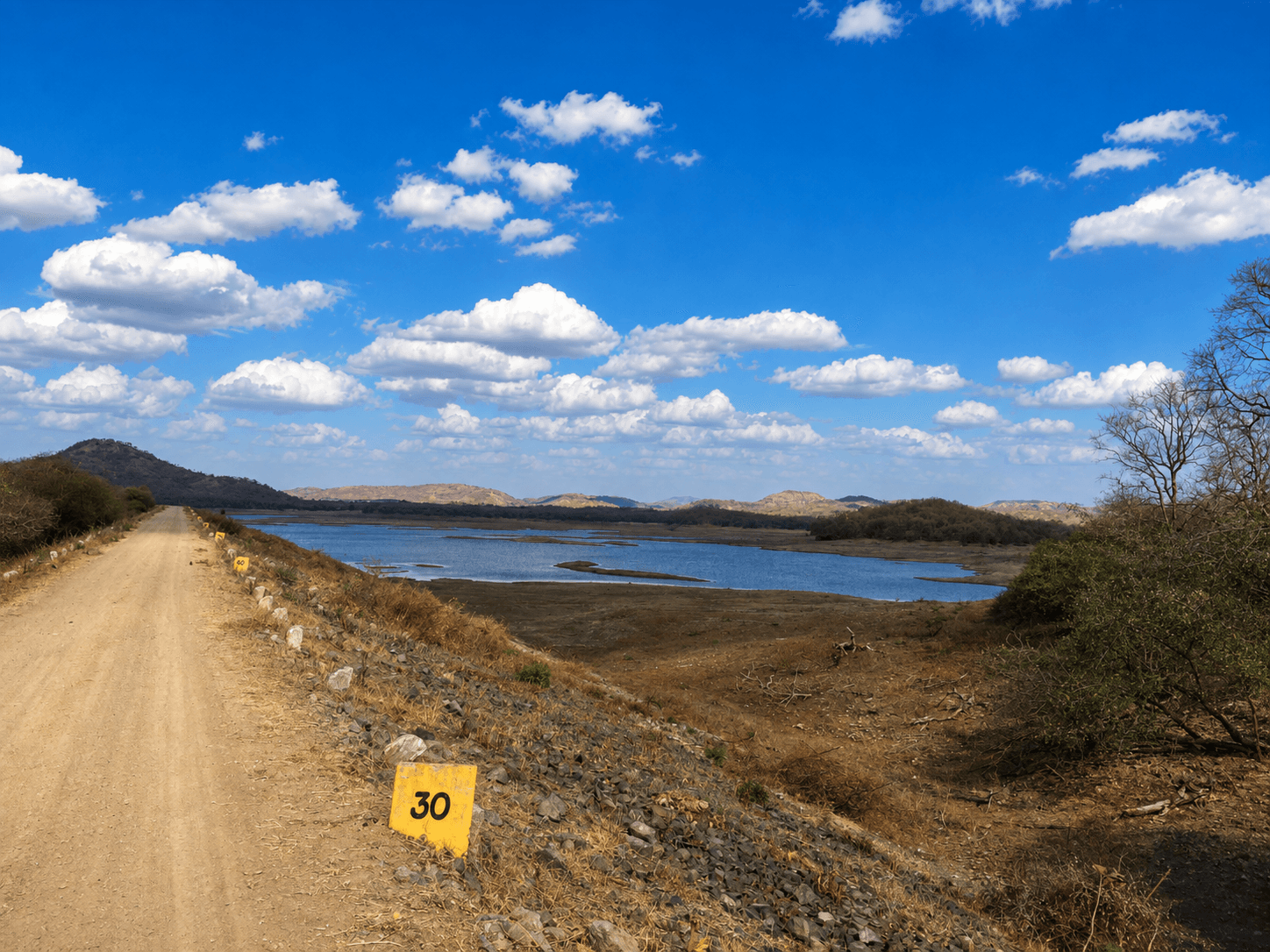 sasan gir forest area