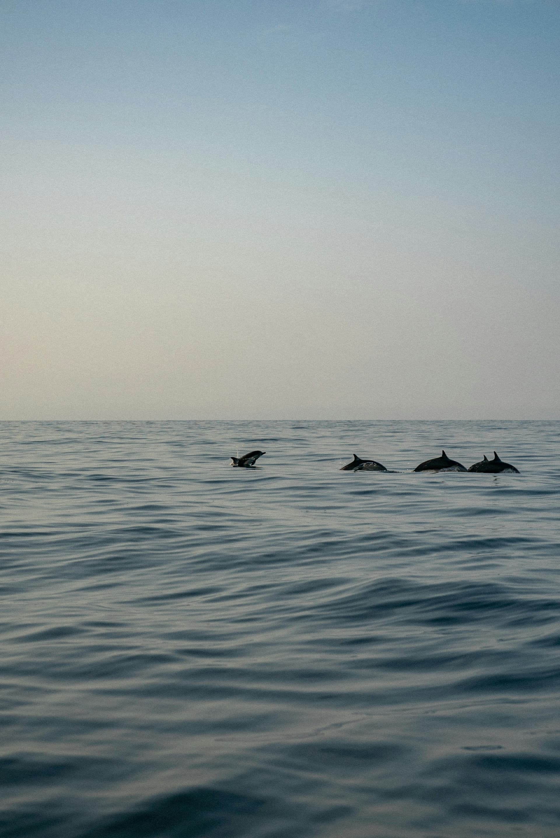Kavaratti and Agatti Beach Holiday — image 3