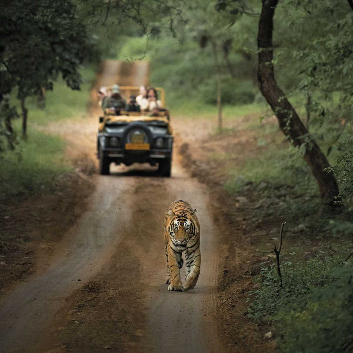 Nainital  Jim Corbett Tour Package