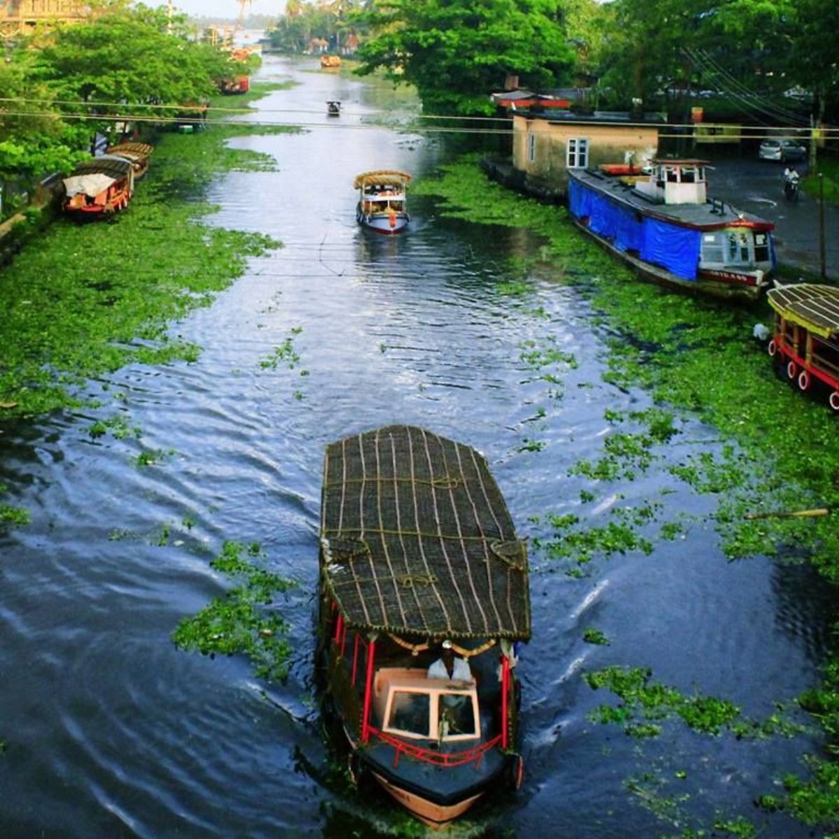 6 Days / 5 Nights – Calicut, Wayanad, Coorg & Bekal Tour Package