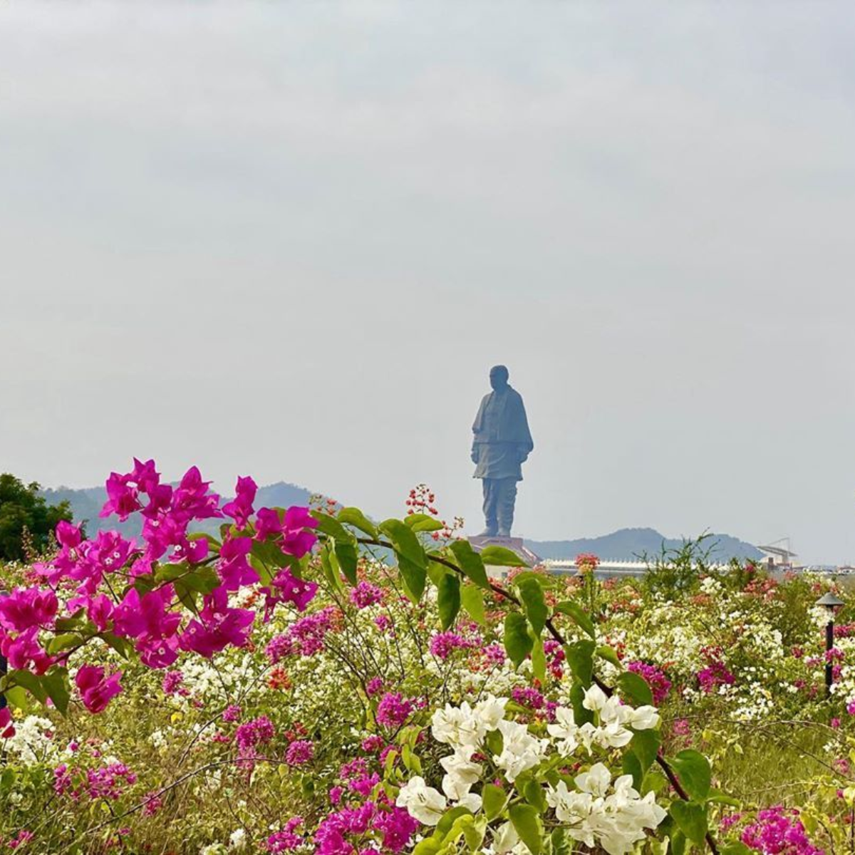 Gujarat Group Tour Package – 8 Days / 7 Nights