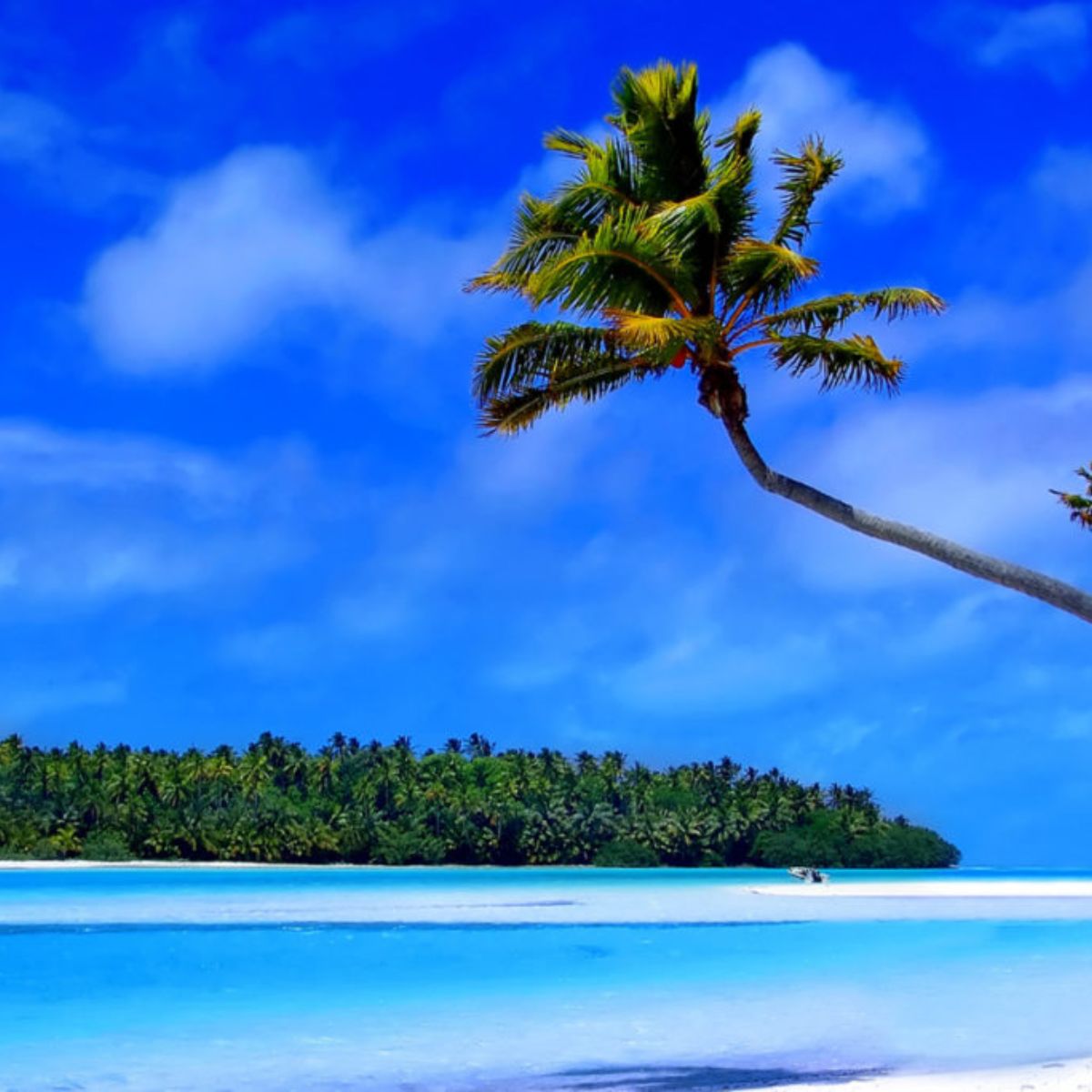 Andaman Family Tour Package