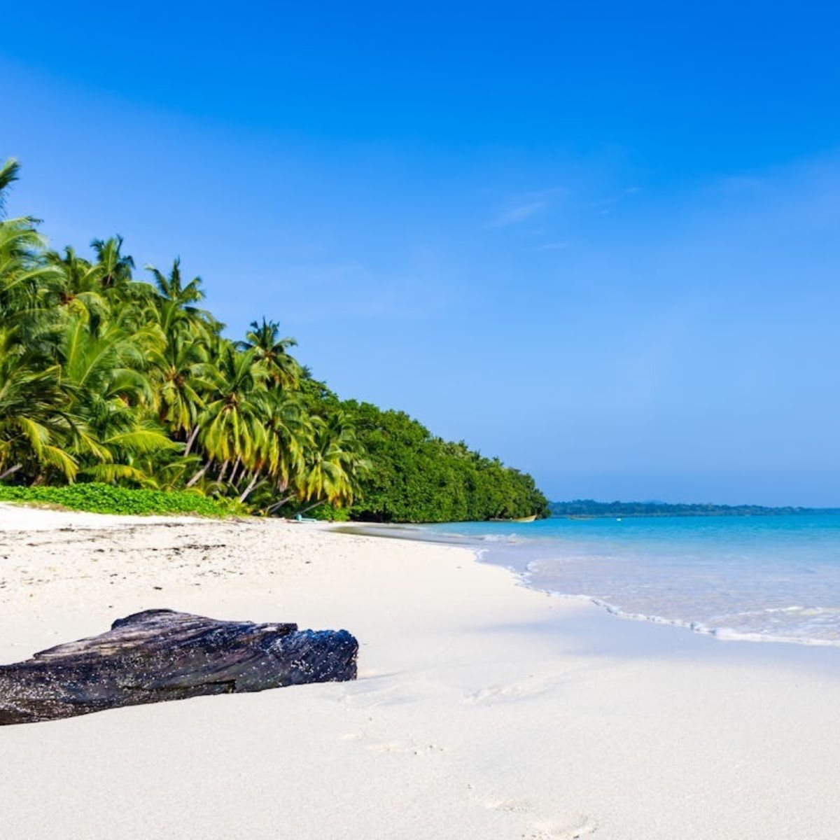 Havelock Island Tour Packages